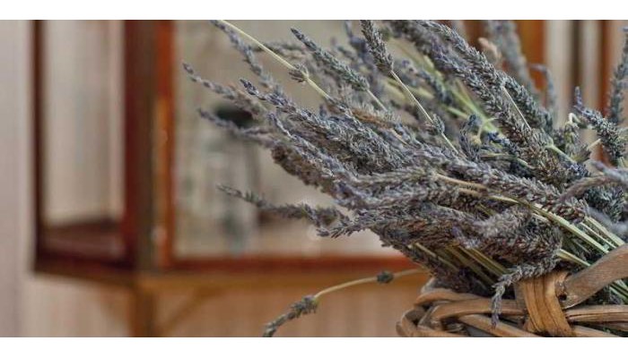 Hotel Porto Valitsa poza 6