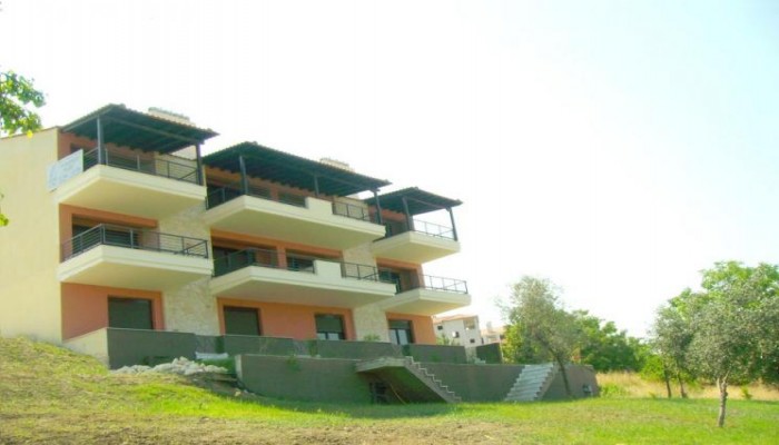 Kripis Studio Paliouri poza 0