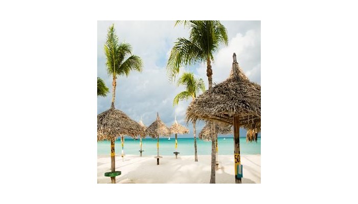 Aruba Marriott Resort poza 10