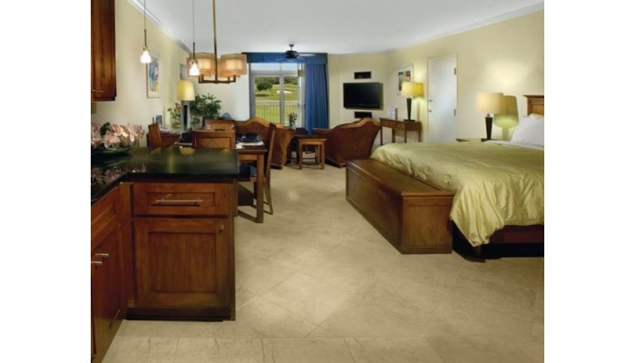 Divi Village Golf & Beach Resort -studio- poza 2