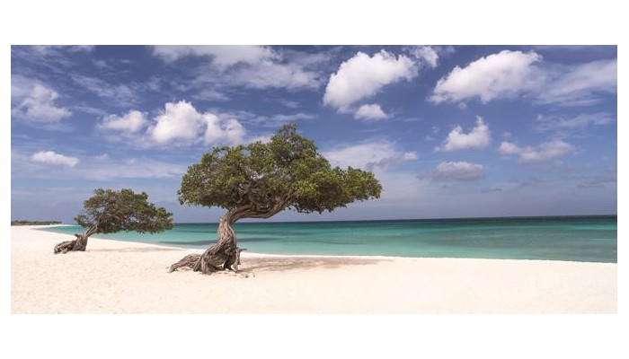 Hotel The Ritz-carlton, Aruba - European Plan poza 10