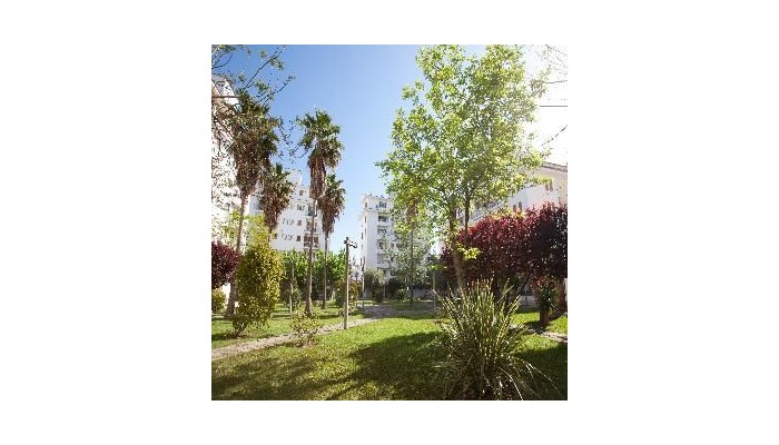 Hotel Apartamentos Ferrer Tamarindos poza 1