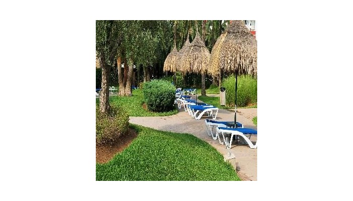 Hotel Apartamentos Siesta I poza 16