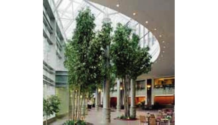 Hotel Hilton Boston Logan Airport poza 5