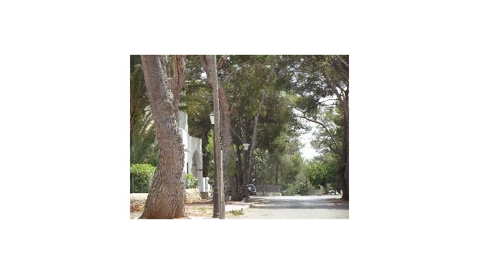 Hotel La Ceiba poza 3