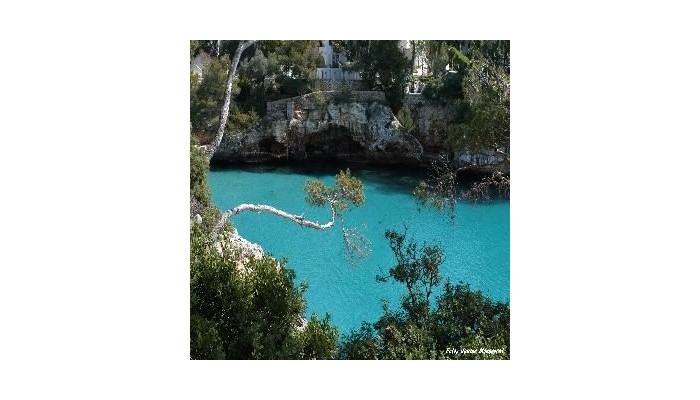 Hotel Playa Ferrera poza 51