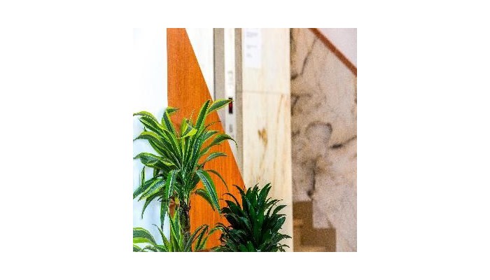 Hotel Playas Paguera poza 2