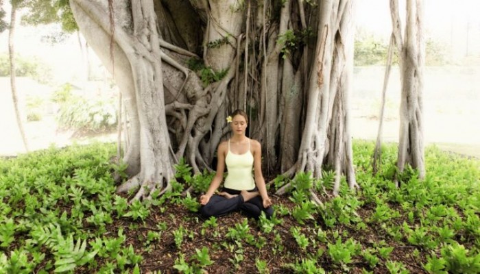 Hotel Travaasa Hana poza 0