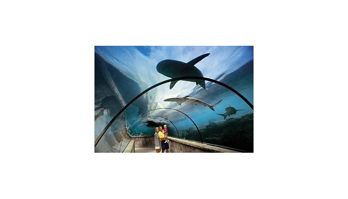 Hotel Cove Atlantis poza 8