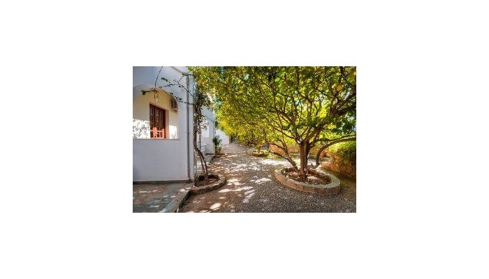 Lemon Tree Studios poza 0