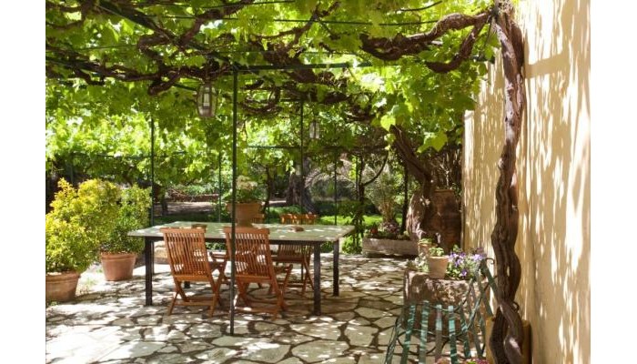 Hotel Pelecas Country Club poza 17