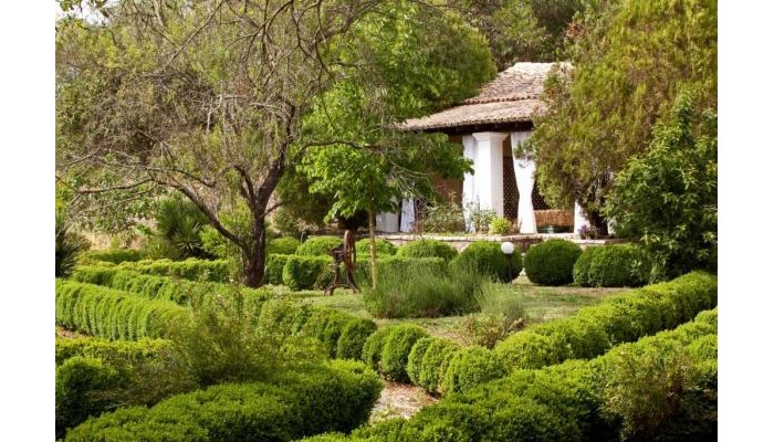 Hotel Pelecas Country Club poza 21