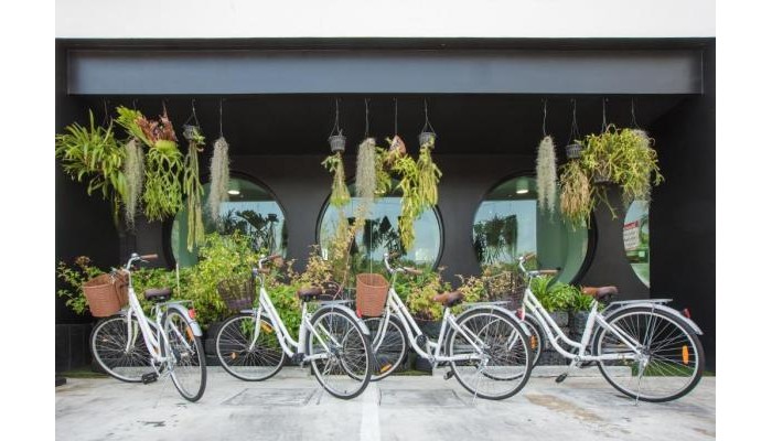 Blu Monkey Hub And Hotel Phuket poza 8