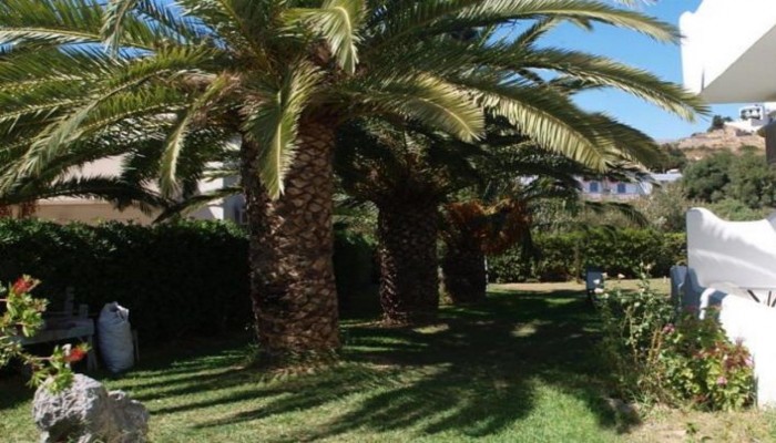 Apollo Apartments poza 8