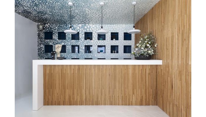 Lyo Boutique Hotel poza 0