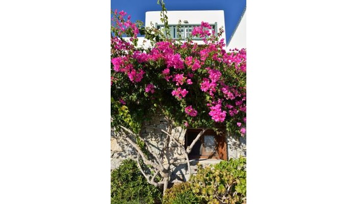 Hotel Pelican Bay Art poza 1