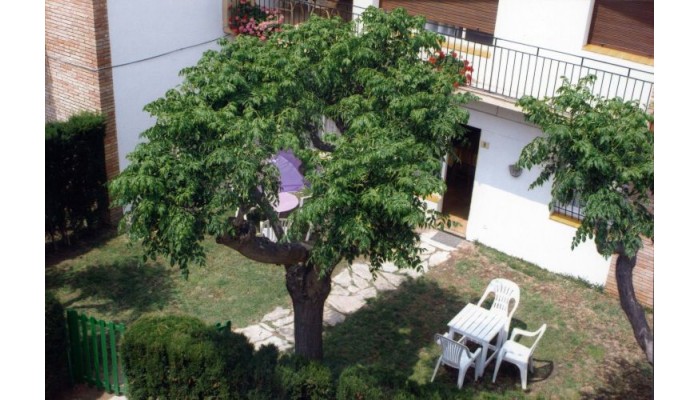 Rv Hotels Apartamentos Benelux poza 11