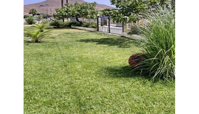 Poza pentru Aristi Studios 9020-1553430607 Aristi Studios poza 7