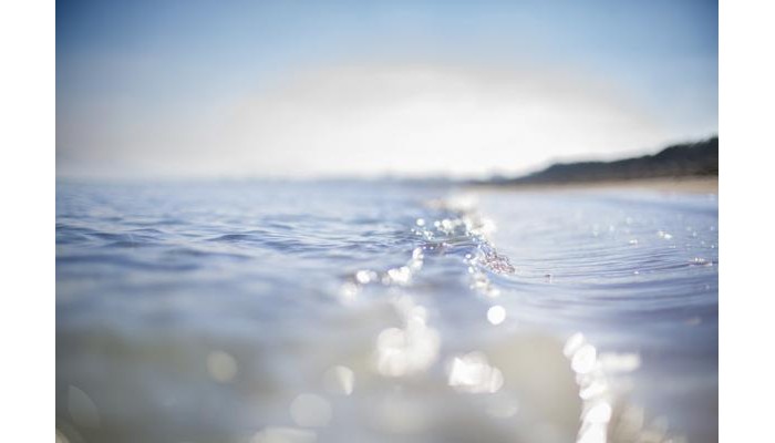 Las Gaviotas Suites Hotel poza 9