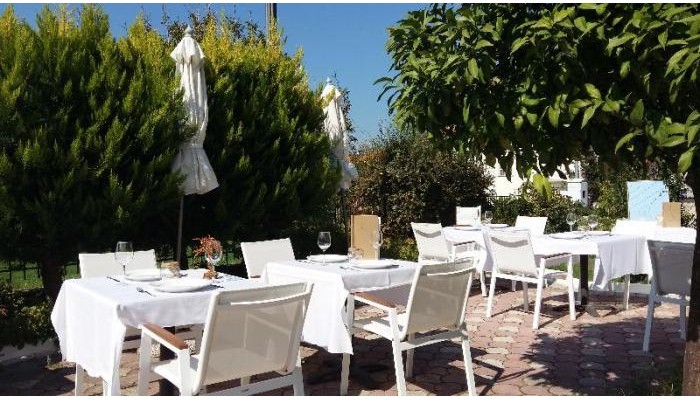 Hotel Akrogiali Boutique - Adults Only poza 19