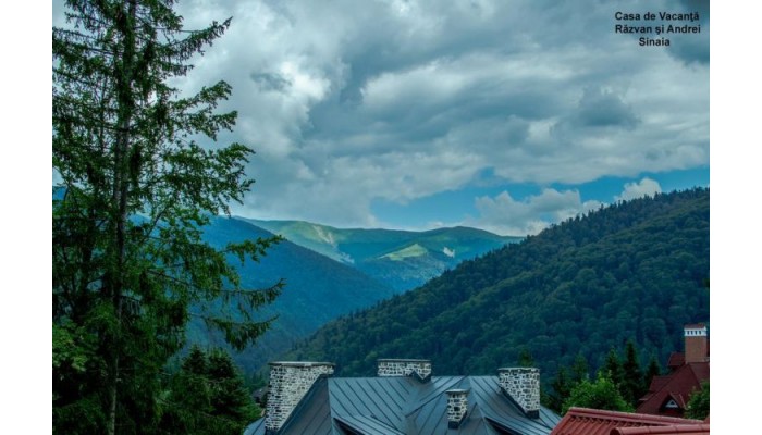 Hotel Casa De Vacanta Razvan Si Andrei poza 5