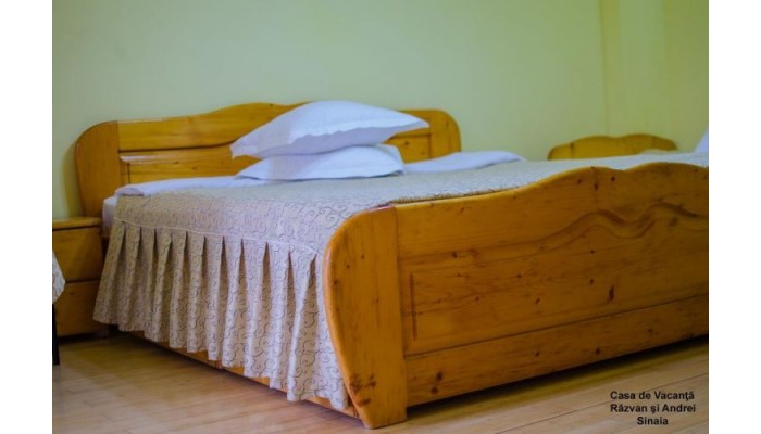 Hotel Casa De Vacanta Razvan Si Andrei poza 4