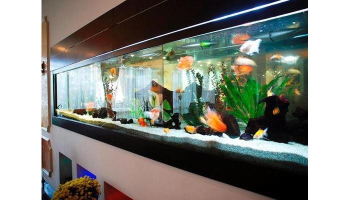 Hotel Prahova Plaza poza 3