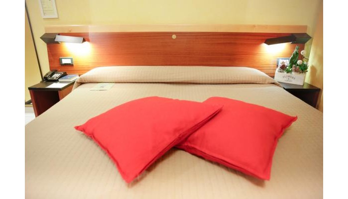 Art Hotel Milano poza 0
