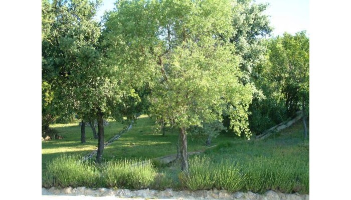 Hotel Villa De Priego poza 7