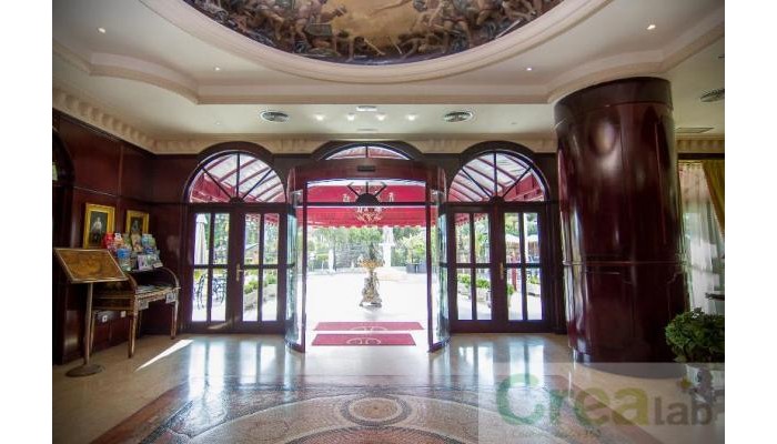 Park Plaza Suites Hotel poza 8