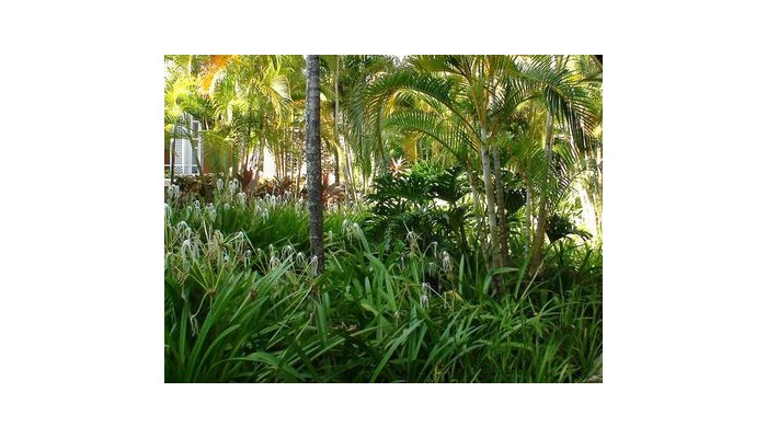 Hotel Amhsa Grand Paradise Playa Dorada poza 1