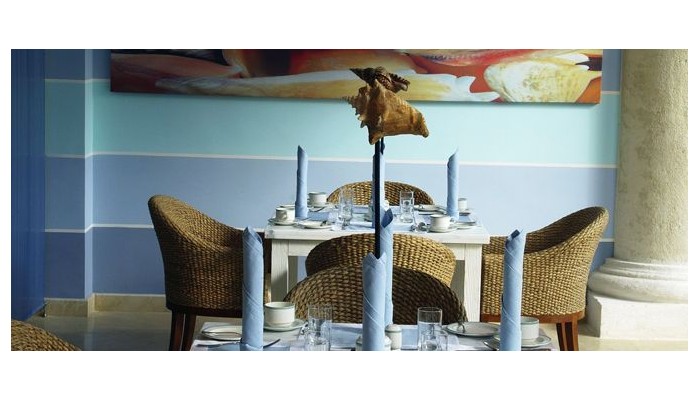 Hotel Casa Colonial Beach And Spa - European Plan poza 2