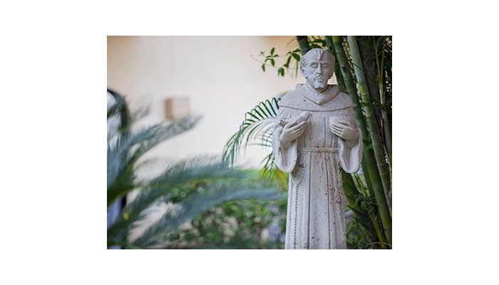 Flamingo Vallarta Hotel Y Marina poza 5