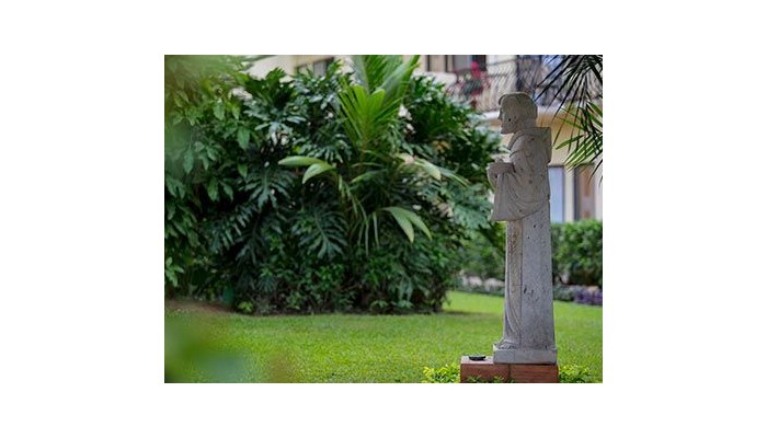 Flamingo Vallarta Hotel Y Marina poza 6