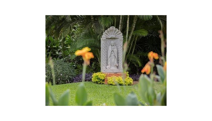 Flamingo Vallarta Hotel Y Marina poza 7