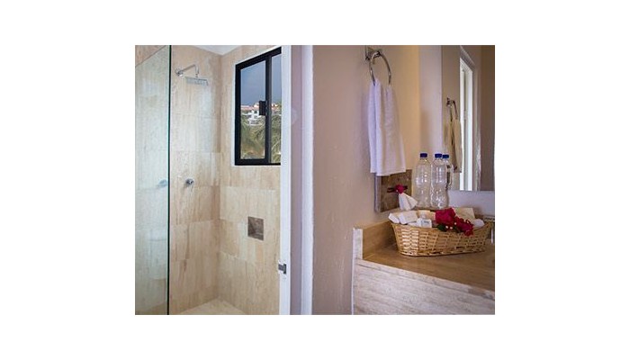 Flamingo Vallarta Hotel Y Marina poza 4