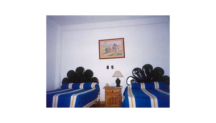 Hotel Encino Vallarta Centro poza 6