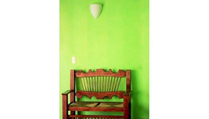 Hotel La Iguana De Oro Vallarta poza 7