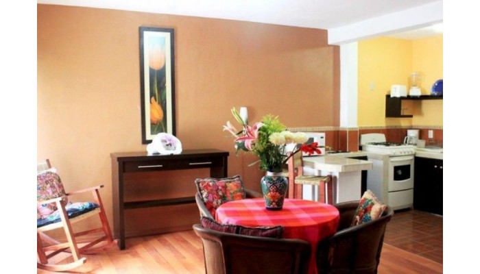 Hotel La Iguana De Oro Vallarta poza 2