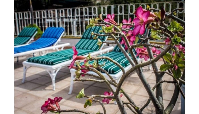 Hotel Paloma Del Mar poza 4