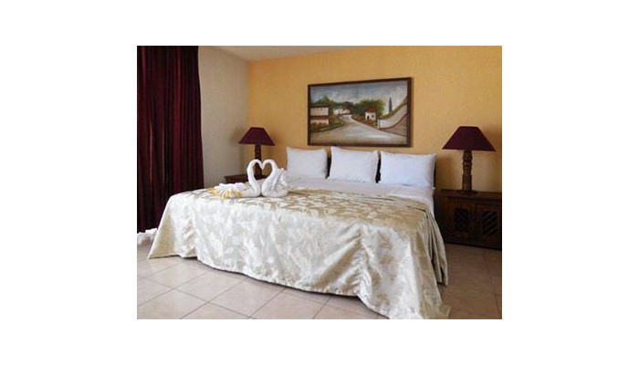 Hotel Torre De Oro Vallarta Centro poza 6