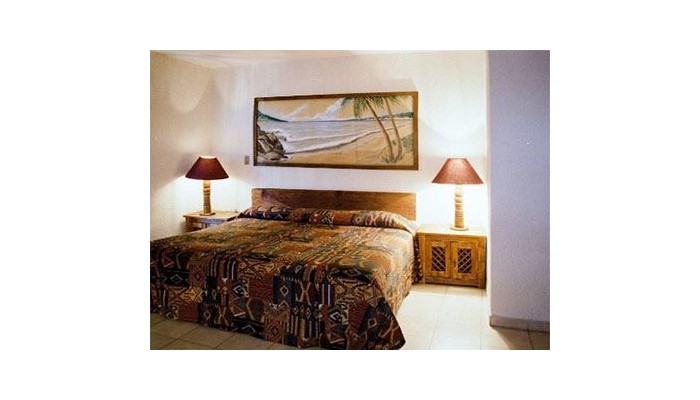 Hotel Torre De Oro Vallarta Centro poza 5