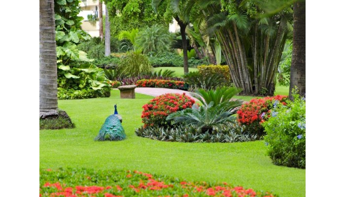 Velas Vallarta Family Beach Resort Premium All Inclusive poza 0