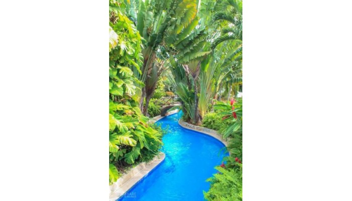 Velas Vallarta Suite Resort poza 3