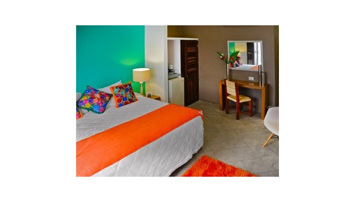 Villa Mercedes Petit Hotel Vallarta Centro Solo Adultos poza 10