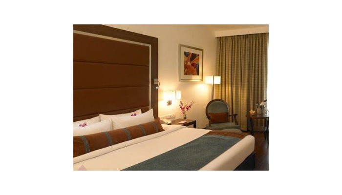 Hotel Royal Orchid Central poza 11