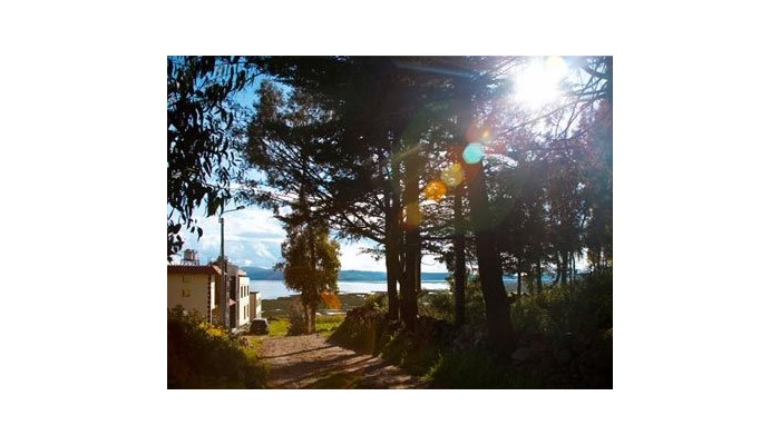 Hotel Pumakala poza 8