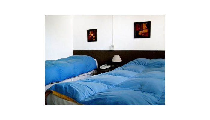 Hotel Apart Los Pinos Tronador poza 8