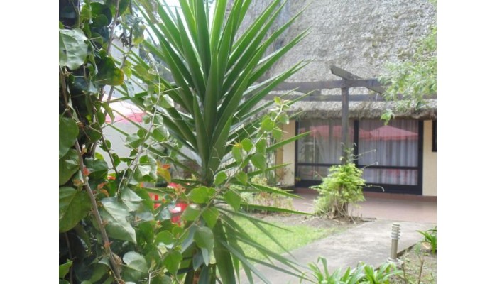 New Hotel Success poza 5