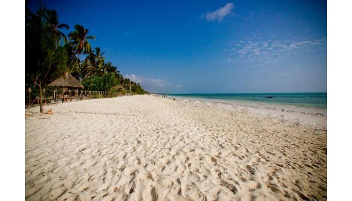 Ocean Paradise Resort poza 15